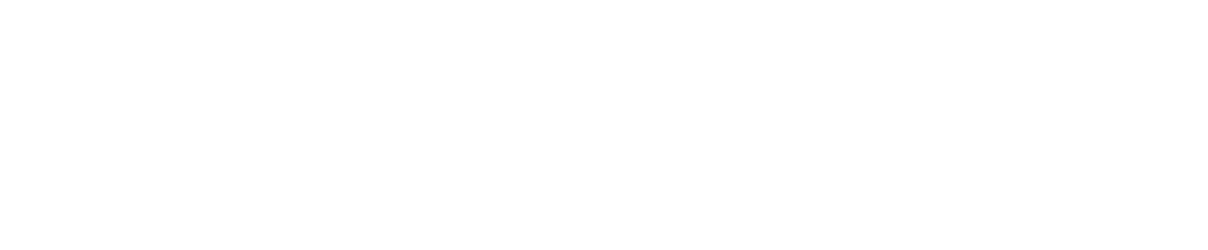 OZT